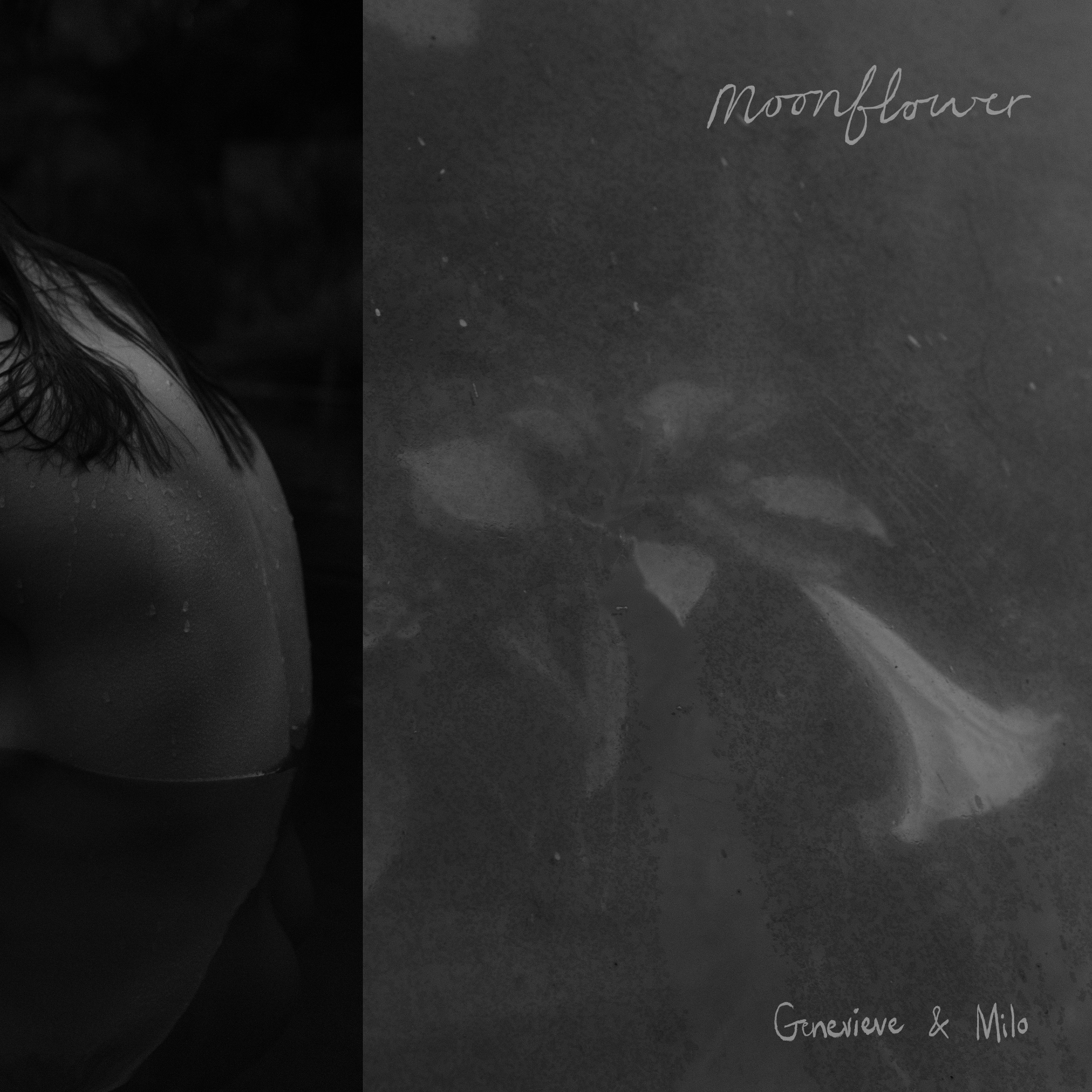 Artwork for the album Moonflower