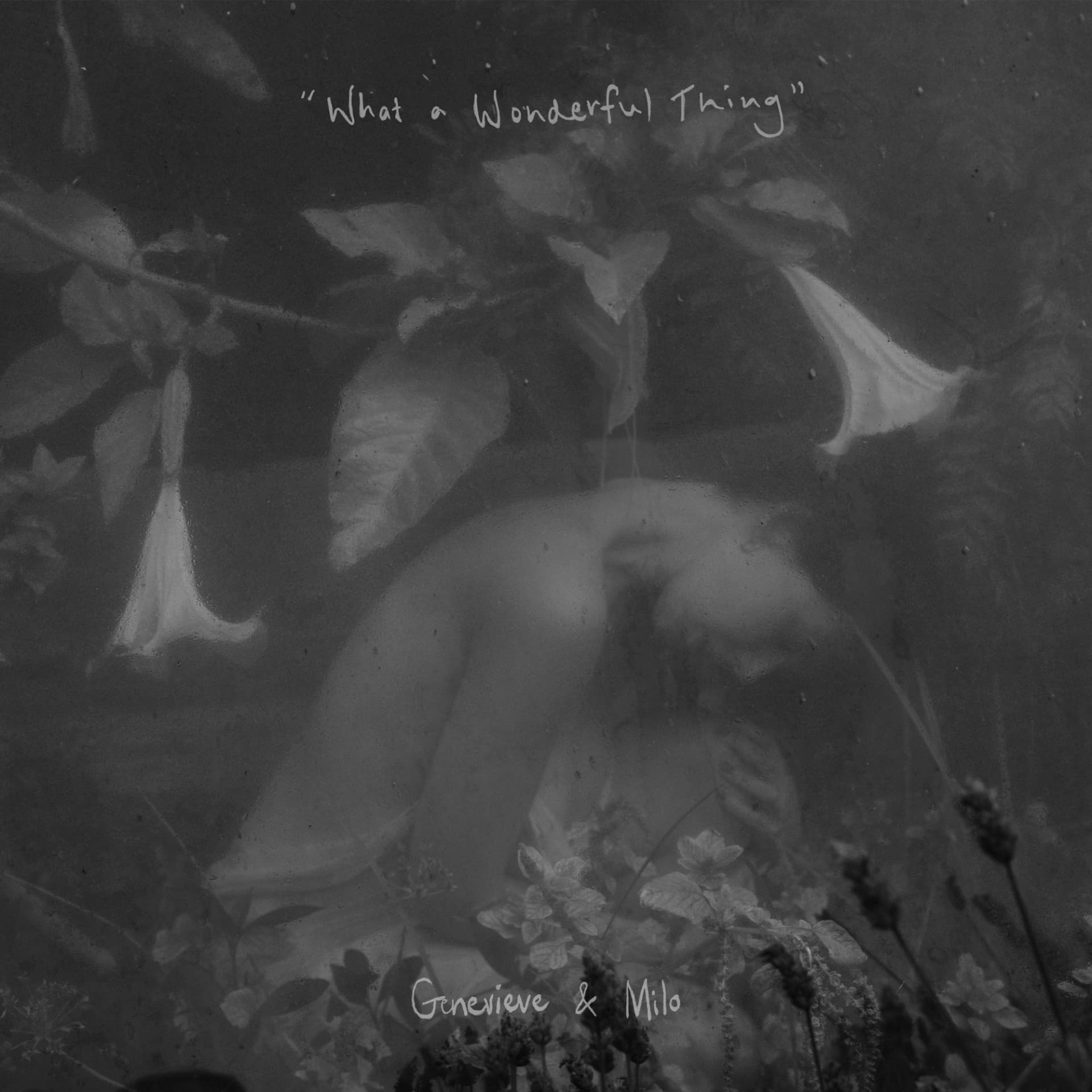 Artwork for the single What a Wonderful Thing